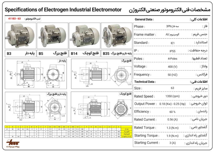 الکتروموتور الکتروژن - سه فاز 0.18 کیلووات ساعت